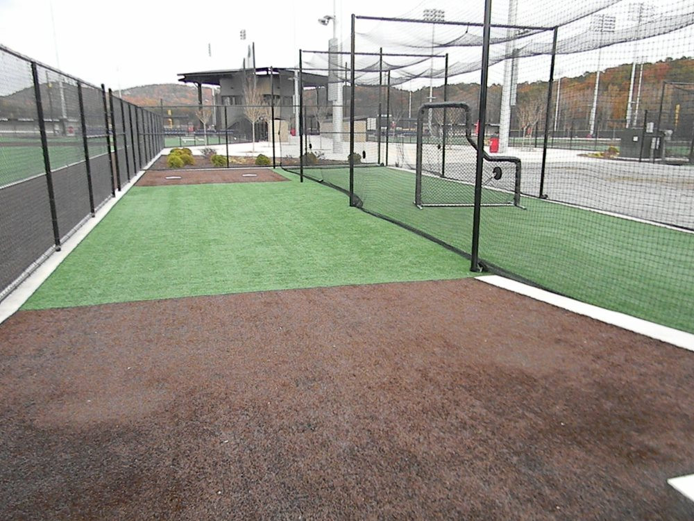 Detroit and all of Michigan artificial turf batting cage